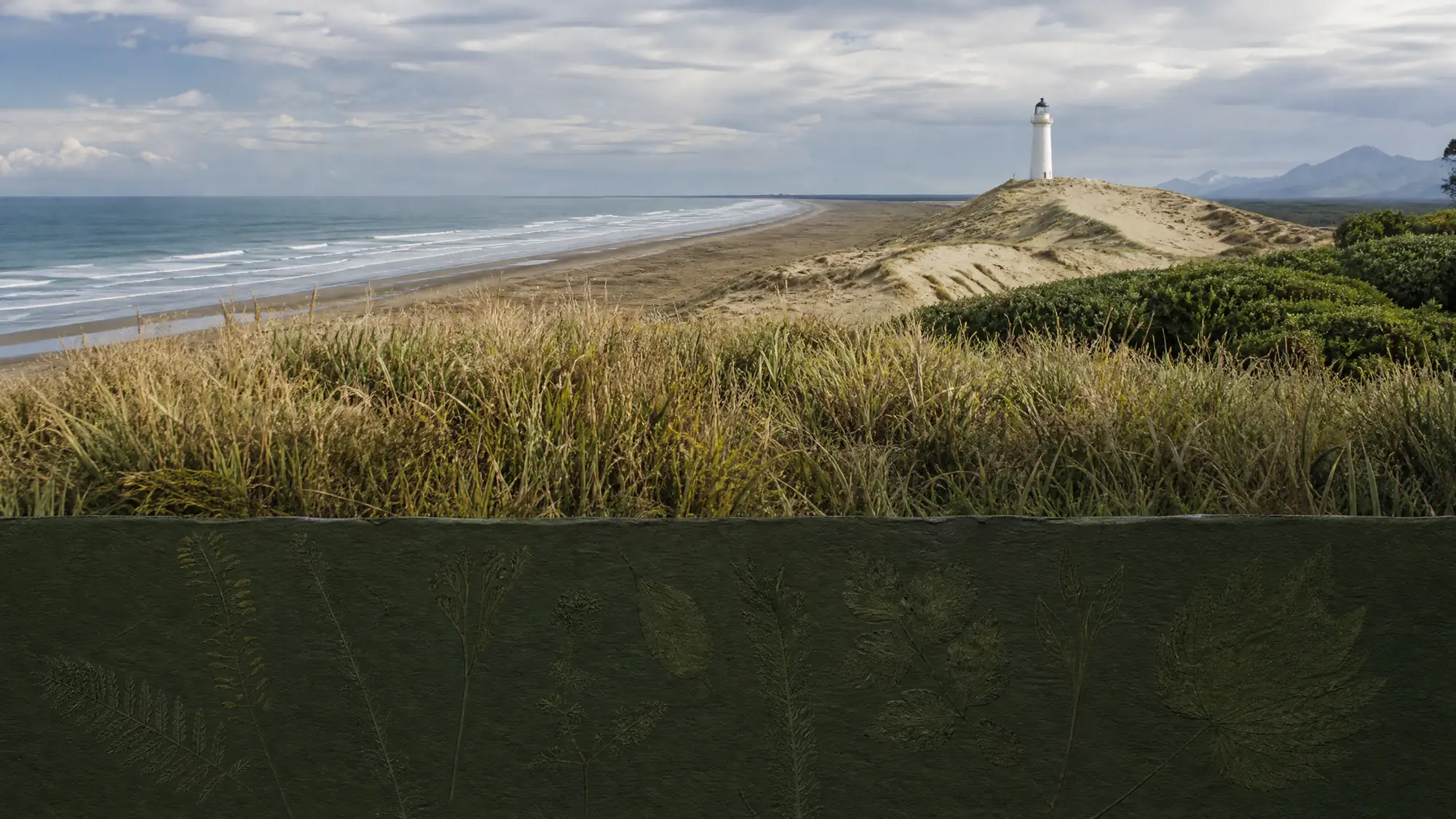 Erkunden Sie die längste Sandnehrung Neuseelands. Wandern Sie kostenlos am Basisteil, oder buchen Sie eine 4WD-Tour zum historischen Leuchtturm und Naturschutzgebiet.