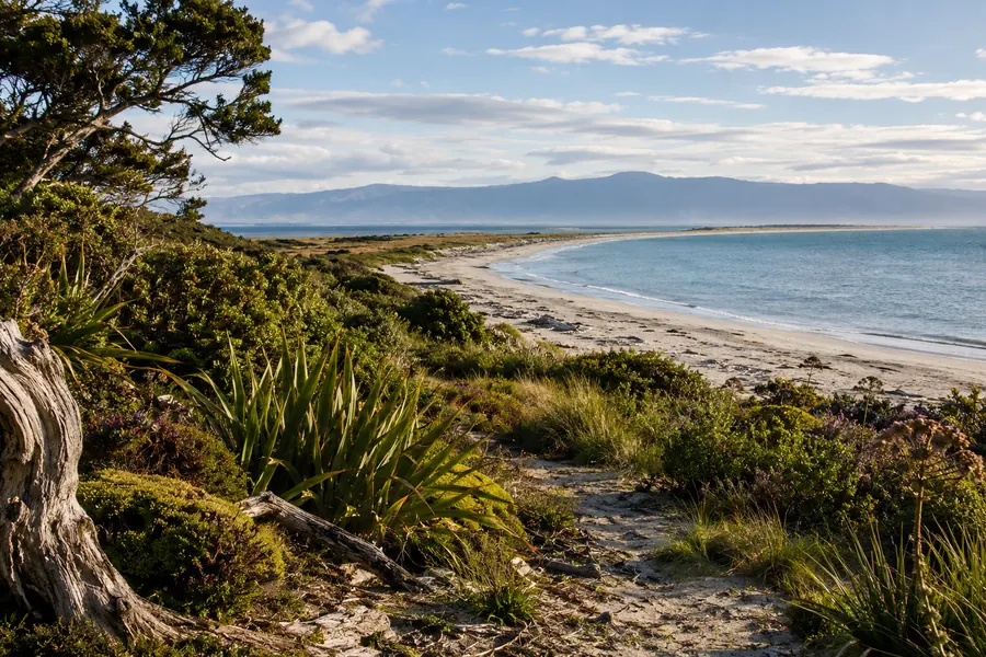 Reserva Natural Restringida en Farewell Spit, Collingwood, Nueva Zelanda