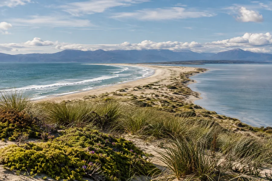 precios de los tours de Farewell Spit en Farewell Spit, Collingwood, Nueva Zelanda
